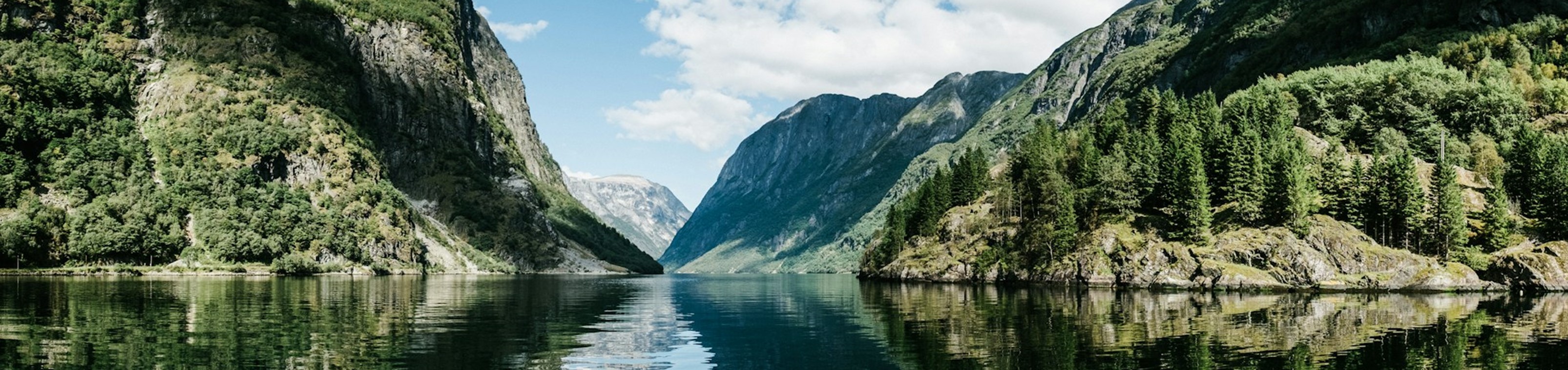 Cruise Noorse Fjorden vanuit Nederland